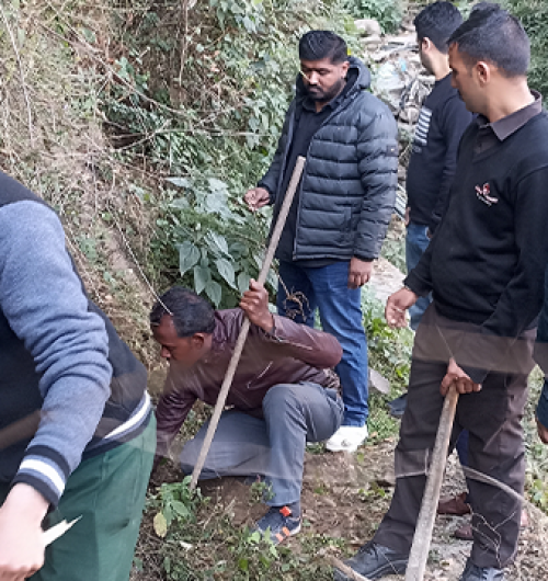 treeplantation1